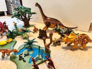 Playmobil dino wereld beschikbaar voor biedingen