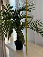 Nieuwe kunstpalmboom - 60cm, 100 tot 150 cm, Palm, In pot, Groene kamerplant