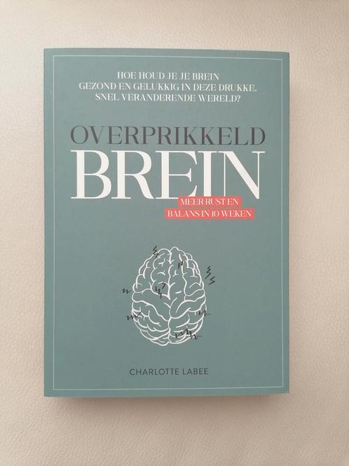 Overprikkeld Brein - Charlotte Labee, Boeken, Psychologie, Zo goed als nieuw, Overige onderwerpen, Ophalen of Verzenden