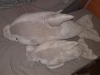 Pluche dolfijnen van dolfinarium, Ophalen, Zo goed als nieuw