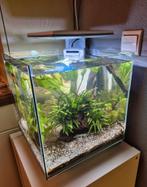 Superfish qubiq 30 pro aquarium, Dieren en Toebehoren, Vissen | Aquaria en Toebehoren, Ophalen of Verzenden, Zo goed als nieuw