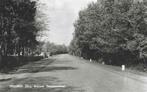 Ansichtkaart: Drouwen, Bosrand Gasselterstraat, Verzenden, 1960 tot 1980, Gelopen, Drenthe