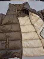 FREEQUENT Dames Donsjas Maat 42-44, Ophalen of Verzenden, Zo goed als nieuw, Maat 46 (S) of kleiner, FREEQUENT