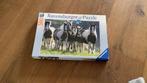 Puzzel 500 stukjes paarden ravensburger, Zo goed als nieuw, Ophalen