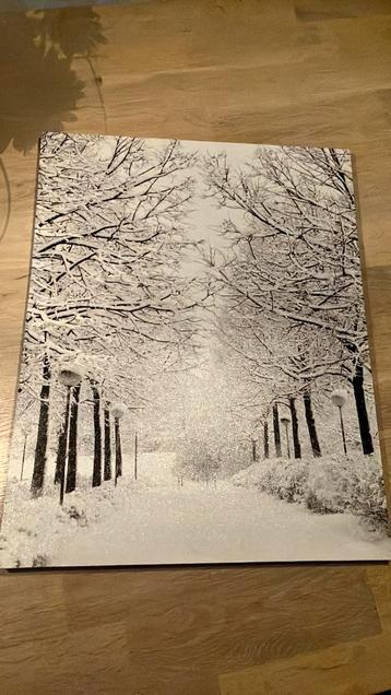 Winters tafereel wand decoratie beschikbaar voor biedingen