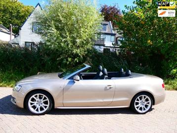 Audi A5 Cabriolet 2.0 TFSI Quattro Pro Line S 211pk 2e eig A beschikbaar voor biedingen
