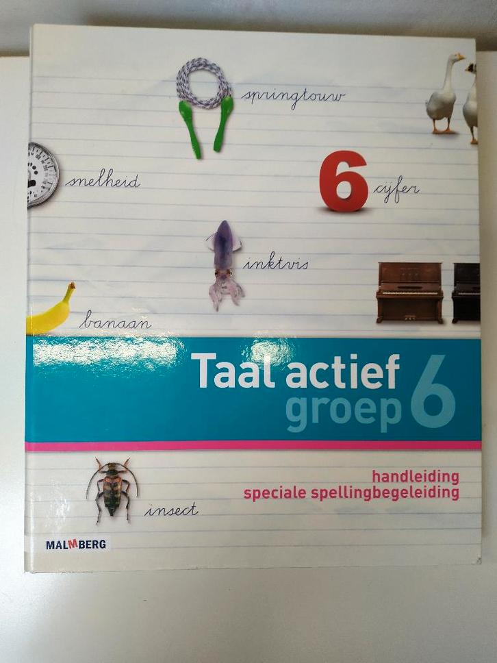 Taal Actief Speciale Spellingbegeleiding - Groep 6, Boeken, Schoolboeken, Zo goed als nieuw, Nederlands, Overige niveaus, Ophalen of Verzenden