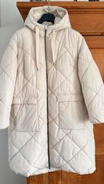 Dames winterjas maat 54, Kleding | Dames, Grote Maten, Ophalen of Verzenden, Zo goed als nieuw, Zwart, Jas of Mantel
