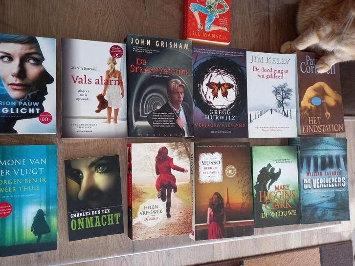 30 thrillers 1 roman, Boeken, Thrillers, Gelezen, Ophalen