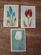 Oude Karnemelkzeep plaatjes - Bloemenvelden, Ophalen of Verzenden