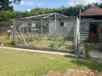 Volière gaas panelen, Dieren en Toebehoren, Mannelijk, Tropenvogel