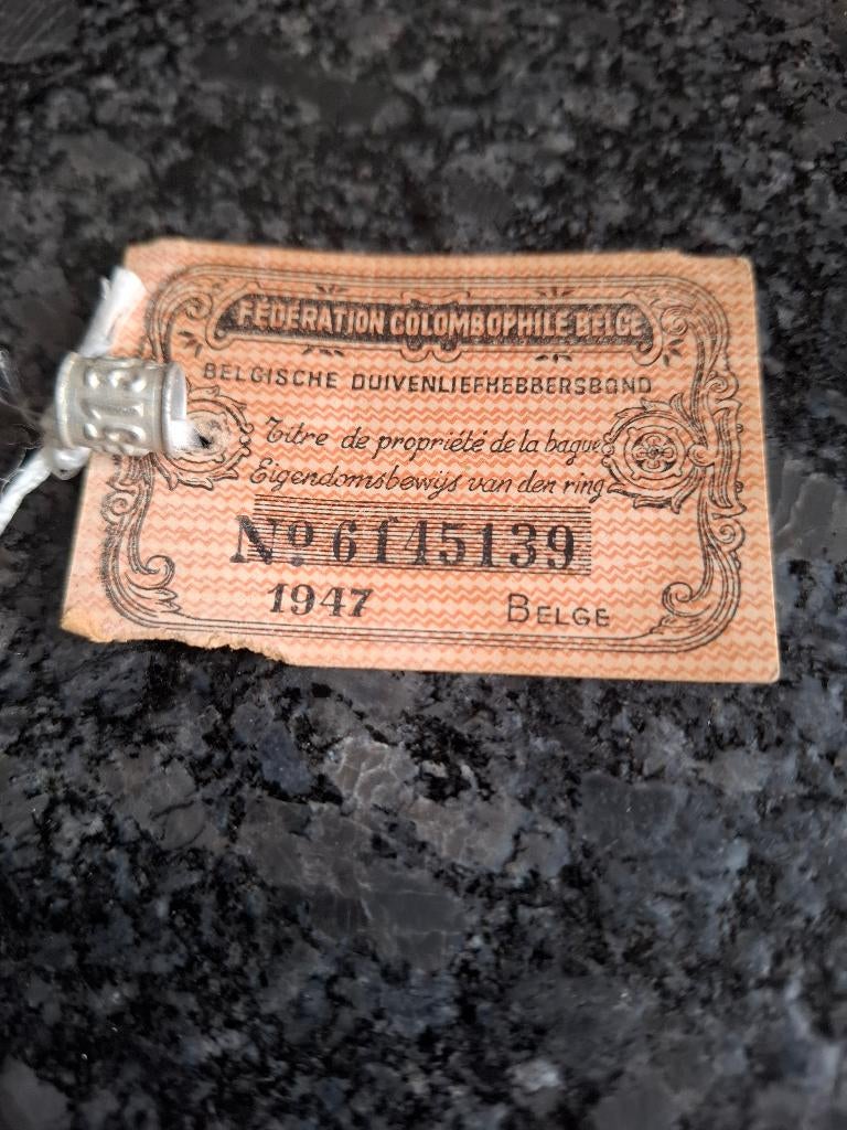 Duivenring 1947, Mannelijk, Postduif