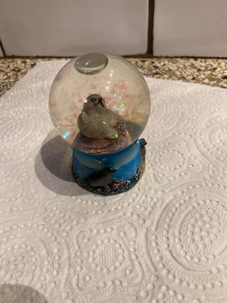 Schudbol zeehond, Ophalen of Verzenden, Zo goed als nieuw, Dier