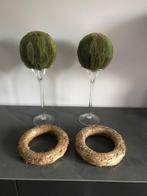 Tulpvazen met isomobol gevriesdroogde bladeren, Ophalen of Verzenden, Huis en Inrichting