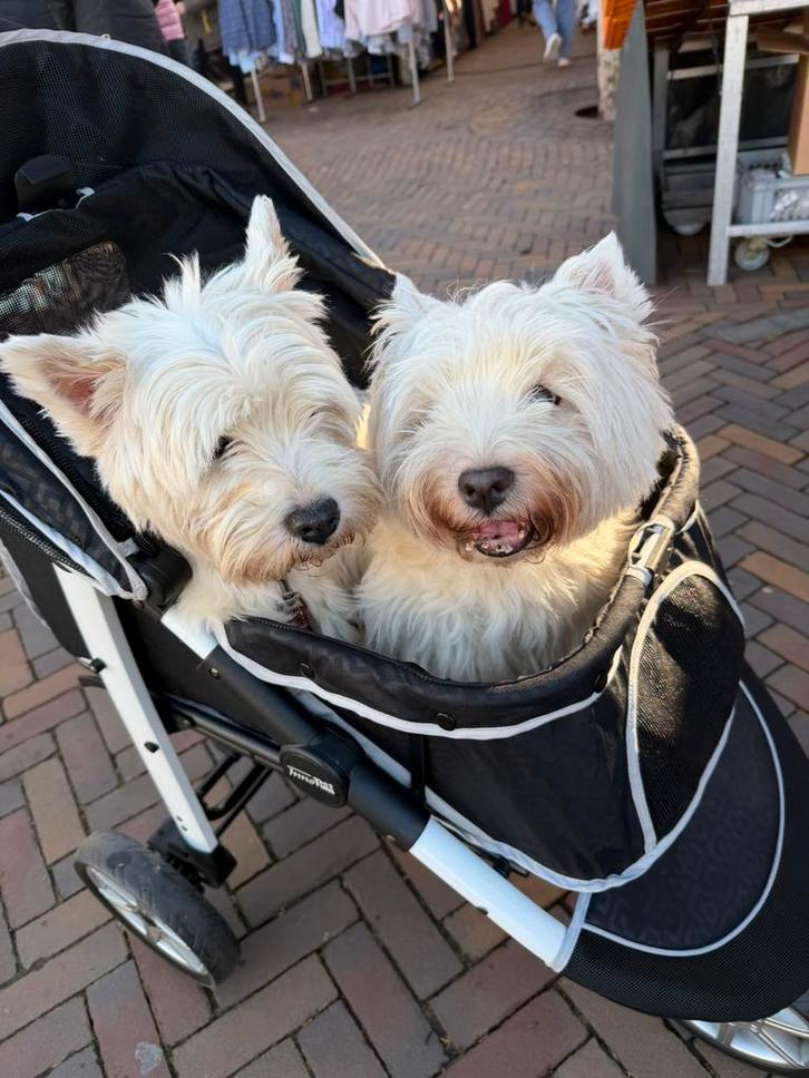 Huur een hondenbuggy voor de vakantie, Dieren en Toebehoren, Honden-accessoires, Zo goed als nieuw, Ophalen