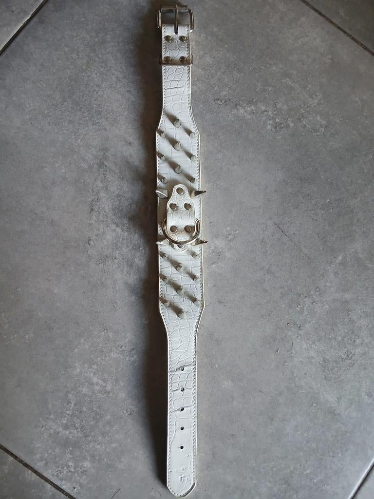 Honden halsband met echte spikes, Dieren en Toebehoren, Ophalen, Nieuw