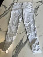 Rijbroek Pikeur, Dieren en Toebehoren, Dames, Nieuw, Overige soorten, Onderkleding