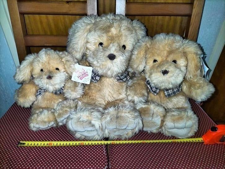 Nieuwe set lieve knuffel honden, kaartje er nog aan, €25,-, Ophalen of Verzenden, Nieuw, Hond