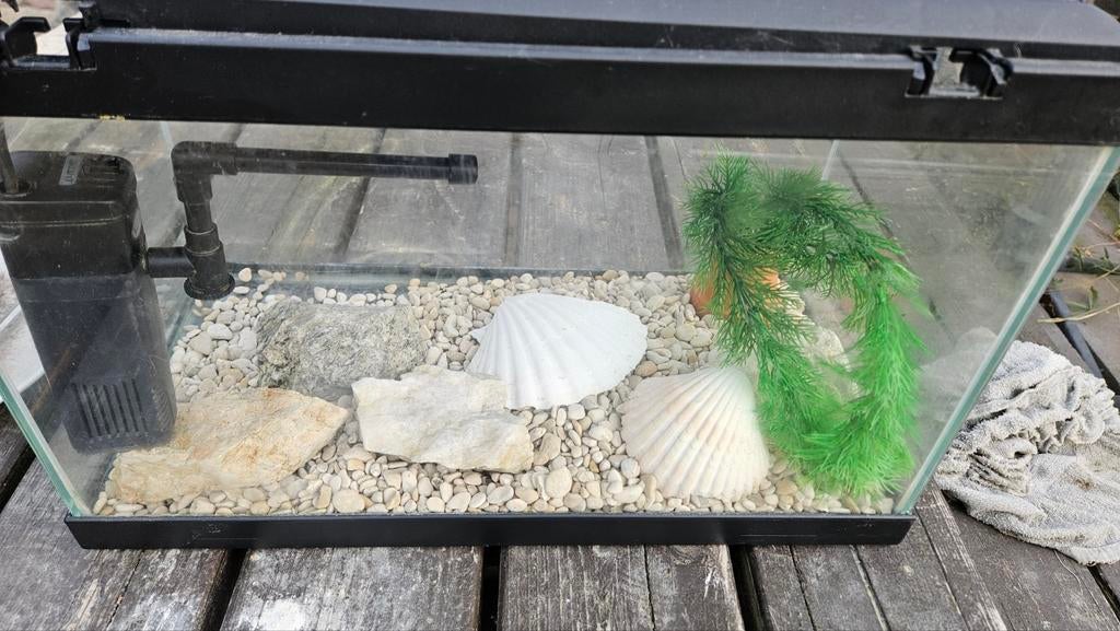 Glazen aquarium. Met pompje, Dieren en Toebehoren