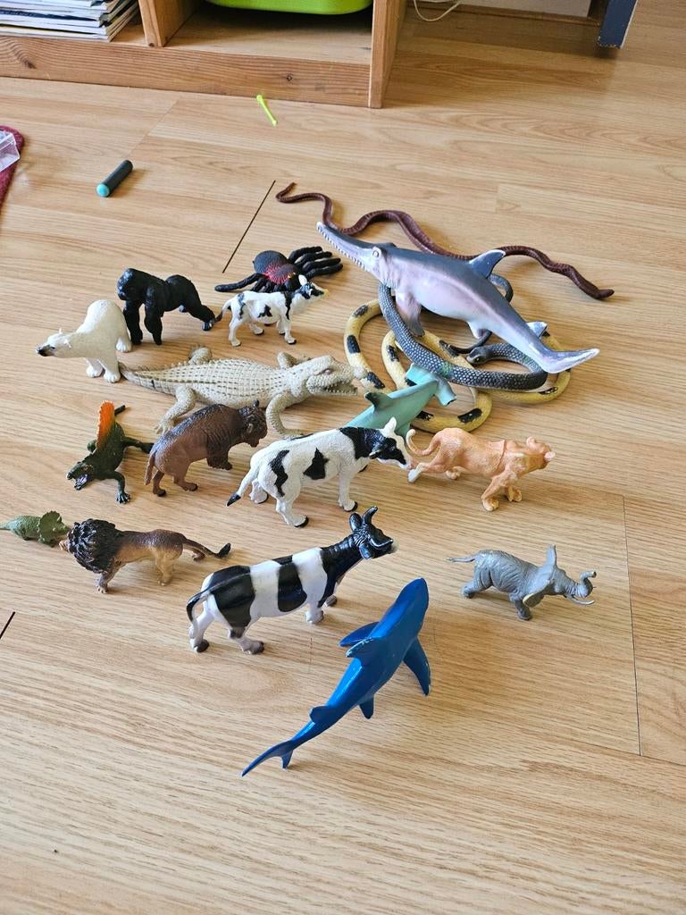 Leuke plastic dieren, Ophalen