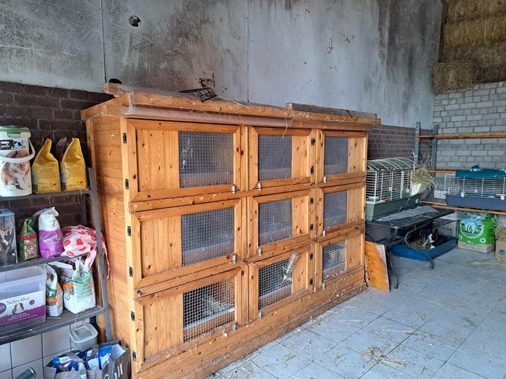 Grote caviaflat/konijnenflat, Dieren en Toebehoren, Knaagdieren en Konijnen | Hokken en Kooien, Gebruikt, Hok, 90 cm of meer, 110 cm of meer