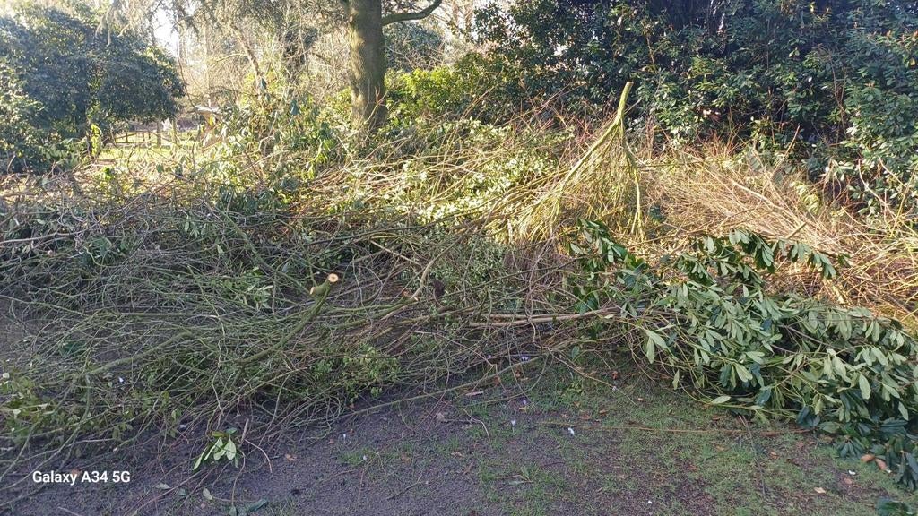 Gratis takken voor paasvuur, Ophalen