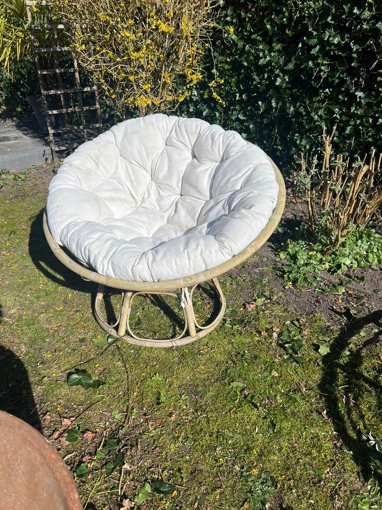 2 schaalstoelen met kussens., Ophalen, Zo goed als nieuw, 17 tot 18, Dame
