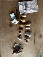 Schelpen verzameling, Verzamelen, Mineralen en Fossielen, Ophalen of Verzenden, Schelp(en)