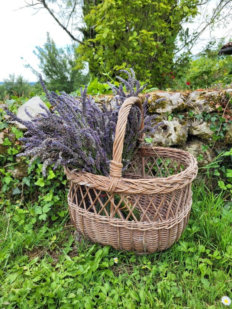 Franse brocante rietenmand/ picknickmand  / allegonda, Huis en Inrichting, Woonaccessoires | Schalen en Manden, Ophalen of Verzenden