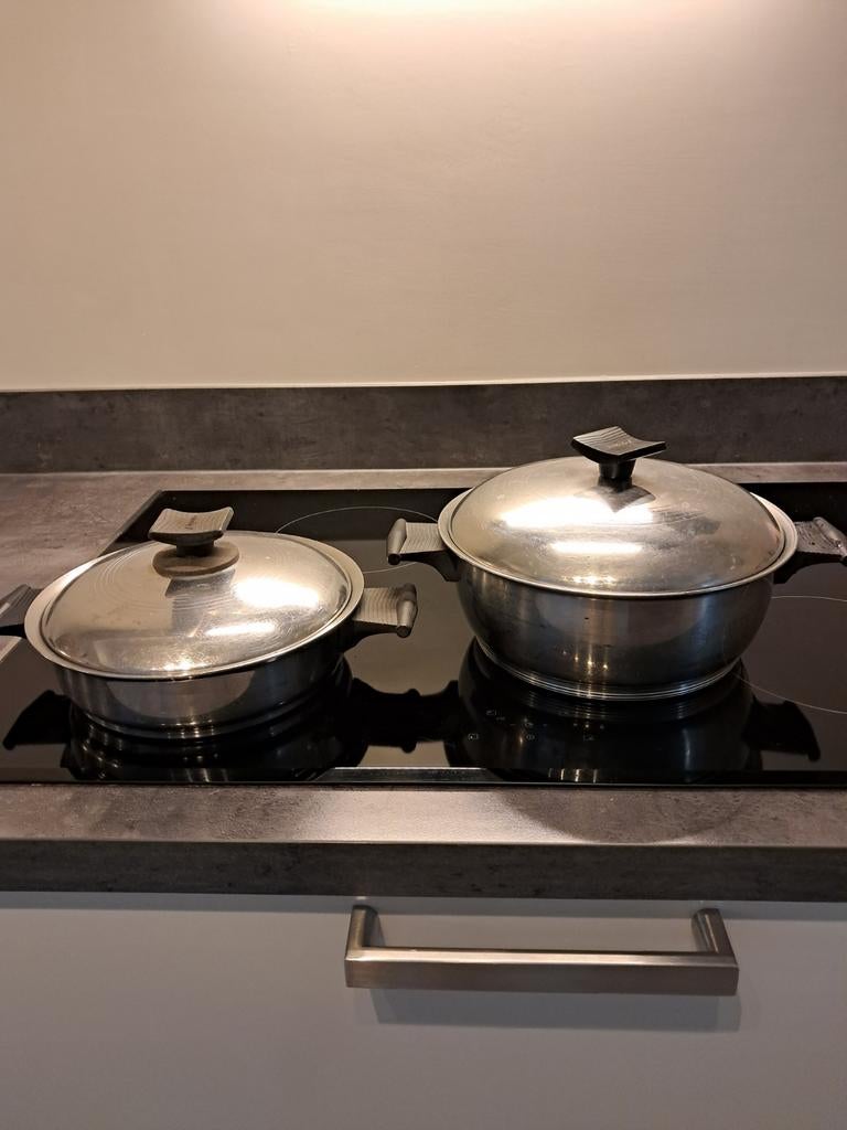 Rena Ware RVS pannen - Set van 2, Gebruikt, Pannenset, Ophalen of Verzenden, Rvs