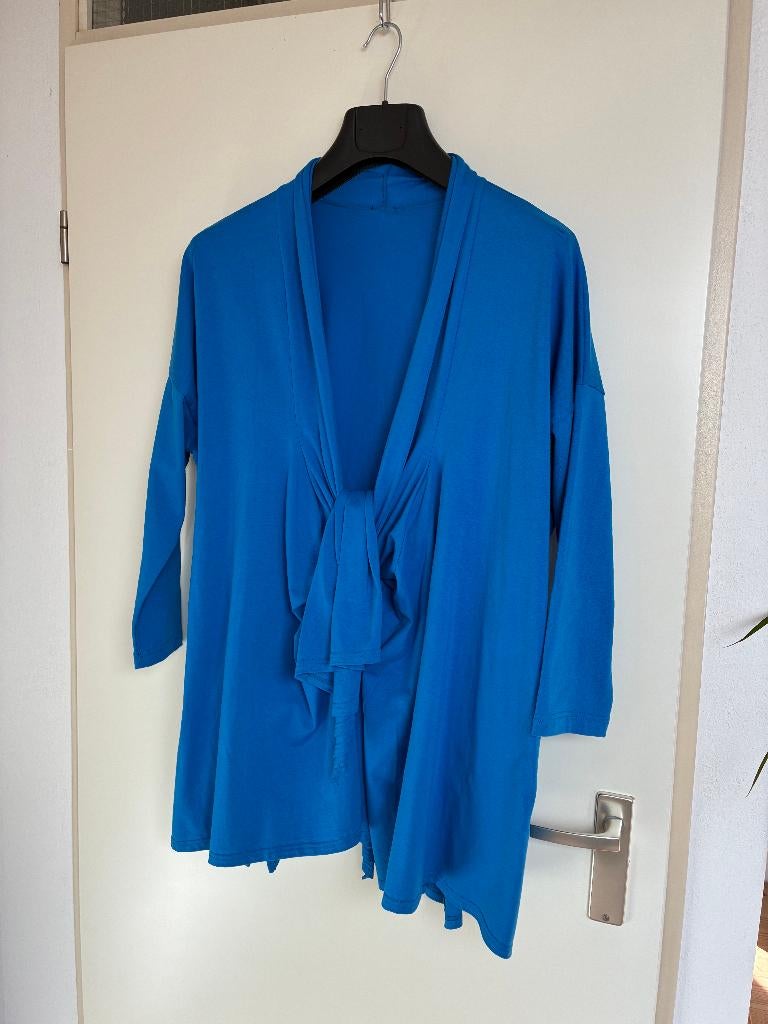 Boris Industries vest kobaltblauw mt 2 (nieuw!), Kleding | Dames, Truien en Vesten, Boris Industries, Blauw, Maat 46/48 (XL) of groter