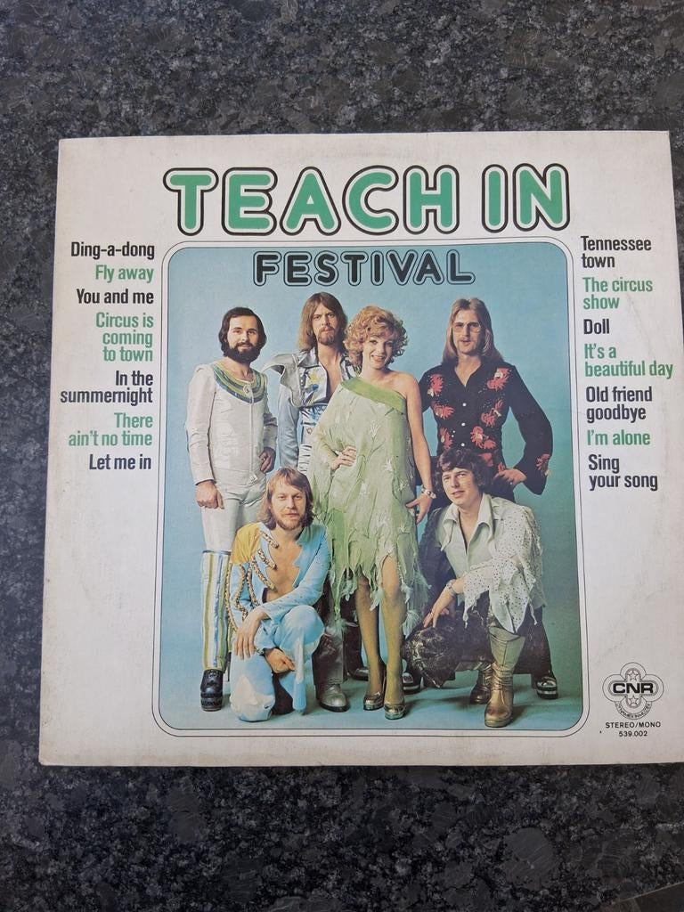 Teach In - Festival LP (1975) - Pop/Rock Vinyl, Ophalen of Verzenden, 1970 - 1979, Gebruikt, 12 inch
