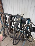 Compleet full tuig, Ophalen of Verzenden, Zo goed als nieuw, Overige soorten