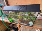 Aquarium “40-50 Liter”, Ophalen of Verzenden, Zo goed als nieuw, Leeg aquarium