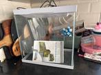 Superfish 30 (25L) aquarium, Dieren en Toebehoren, Ophalen, Zo goed als nieuw, Leeg aquarium