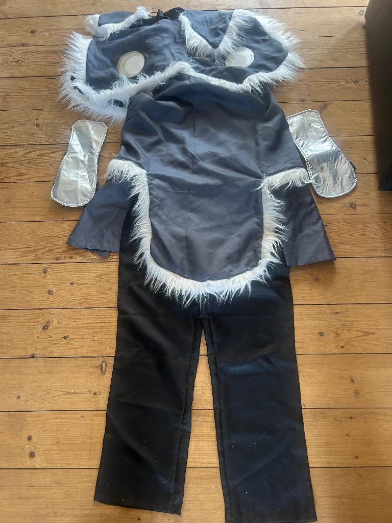 Prachtig Sokka Cosplay Kostuum (Avatar), Ophalen of Verzenden, Gebruikt, Bovenkleding