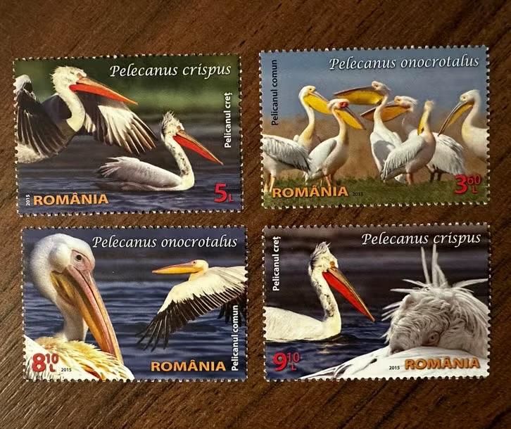 Roemenië 2015 Pelikanen vogels postfris set, Ophalen of Verzenden, Overige landen, Postfris