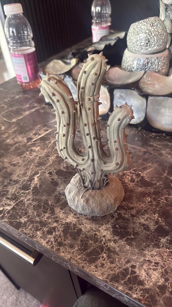 Catus, Ophalen, Zo goed als nieuw