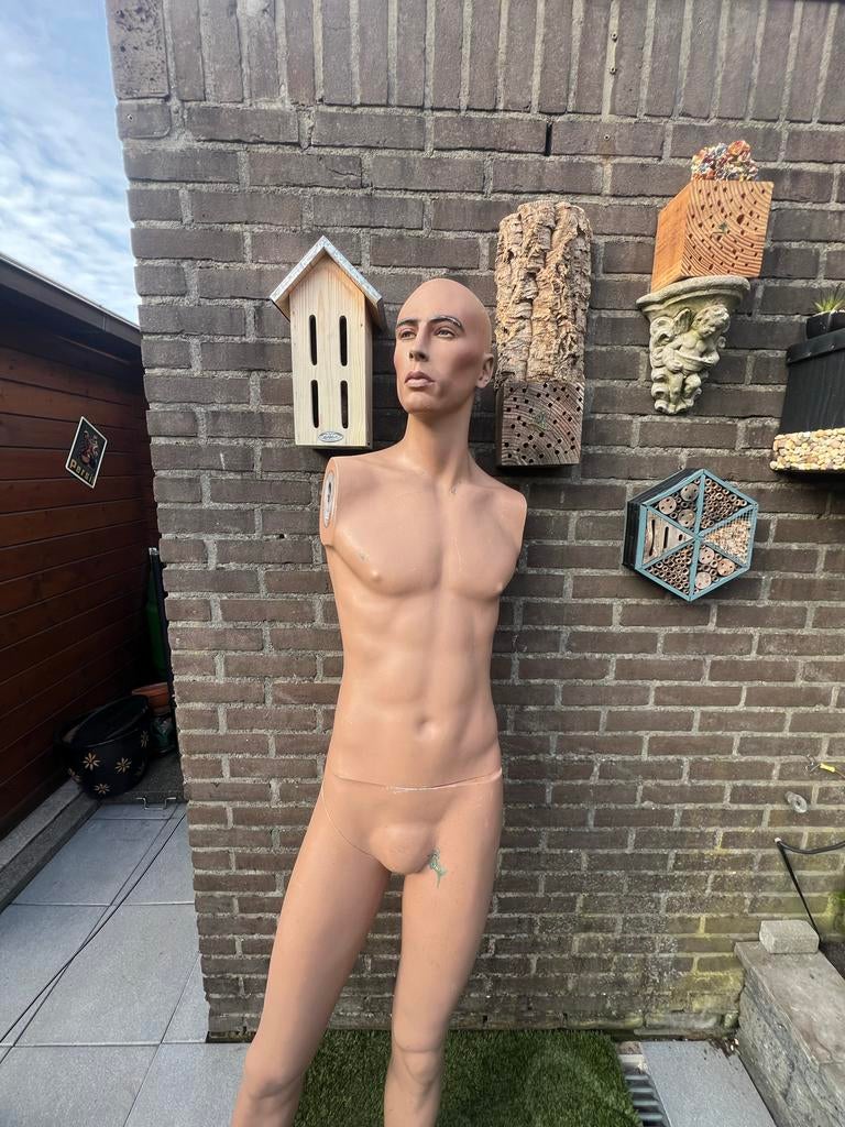 Mannelijke paspop adel roodstein, Kleding | Dames, Overige Dameskleding, Gedragen, Ophalen