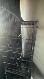 Vogelkooi, Dieren en Toebehoren, Hondenhokken, Ophalen, Zo goed als nieuw