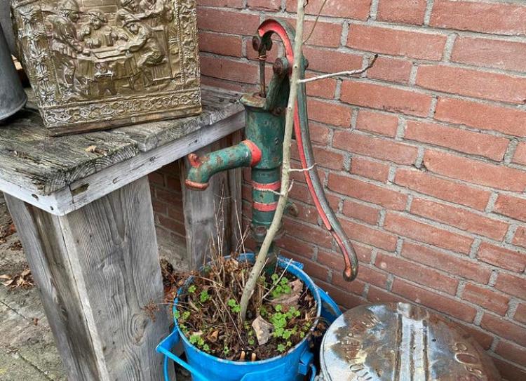 Gietijzeren waterpomp., Ophalen, Gebruikt, Nvt, Nvt