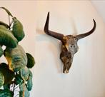 Buffel schedel met hoorns - decoratief, Ophalen, Gebruikt