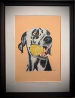 Pastel portret dalmatiër 30x40, Ophalen of Verzenden