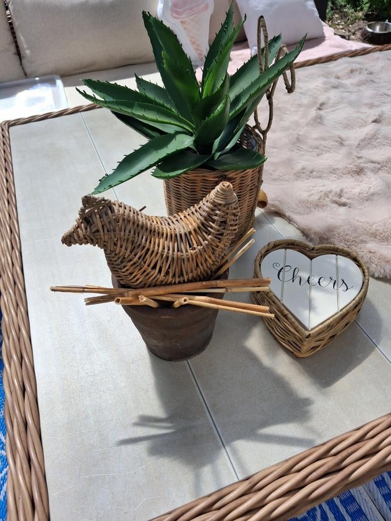 Leuke Rattan Riviera Maison Kip Decoratie, Ophalen of Verzenden
