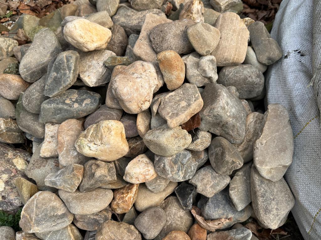 Mooie Maaskeien voor vijver of tuin, Tuin en Terras, Ophalen, Nieuw, Vijverrand