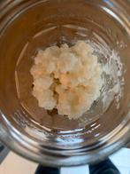 Melk kefir korrels, Ophalen of Verzenden