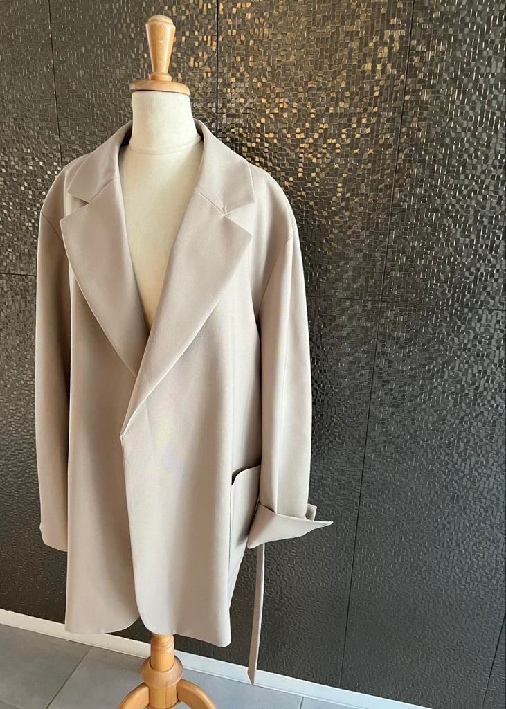 Max Mara Weekend jasje maat 44, Ophalen of Verzenden, Nieuw, Maat 42/44 (L), Beige