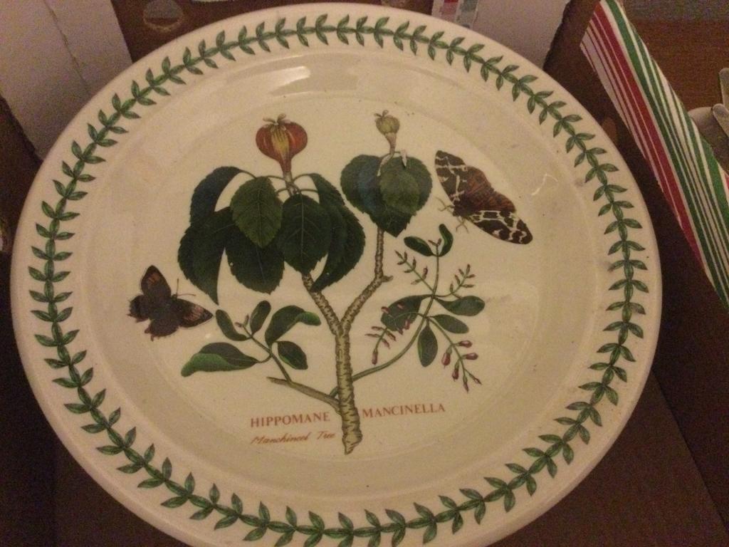 Portmeirion the botanic garden borden, Ophalen, Zo goed als nieuw, Bord(en), Overige stijlen