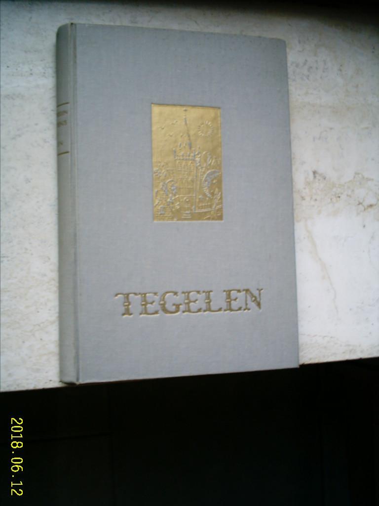 Geschiedenis van Tegelen(Pastoor Th. W. J. Driessen, 1952)., Ophalen of Verzenden, Zo goed als nieuw