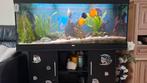 Juwel aquarium,zwarte ombouw, Dieren en Toebehoren, Vissen | Aquaria en Toebehoren, Ophalen